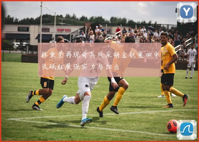 林秉圣再现奇兵风采胡金秋重回中流砥柱展现实力与担当