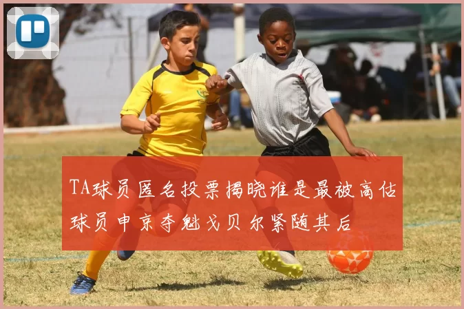 TA球员匿名投票揭晓谁是最被高估球员申京夺魁戈贝尔紧随其后